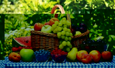 5 полезных приспособлений для сбора фруктов и ягод