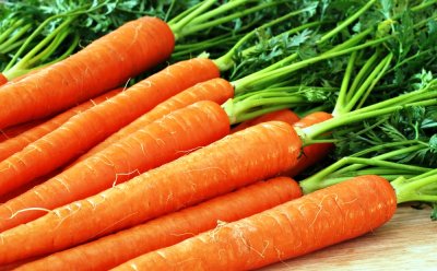 Зимняя морковь: особенности посадки и ухода